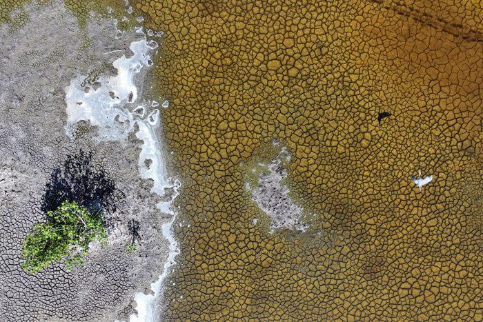 美国佛州缺少降雨导致大面积土地龟裂