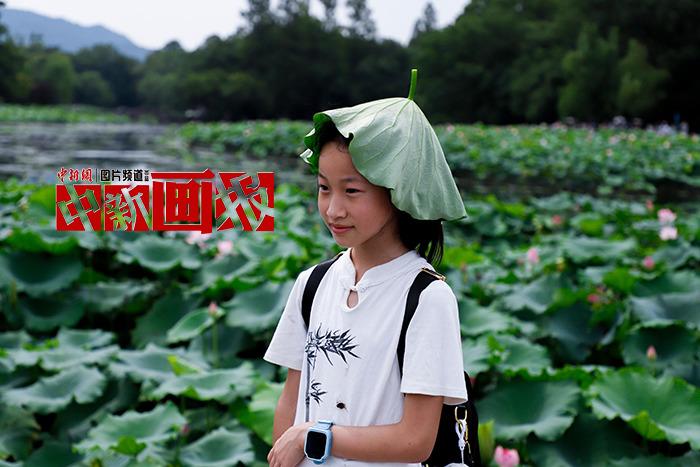 入伏有“凉”方 “花式”避暑轻松Get！