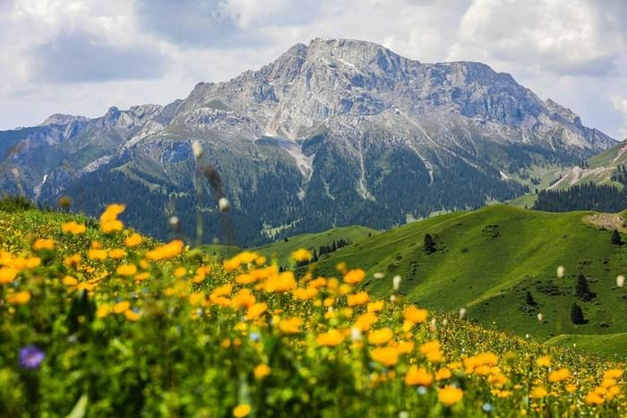 新疆伊昭公路：奇美风光引客来