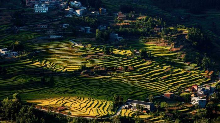 航拍陕西汉阴古梯田 秋景如画