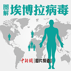 ͼ�Ⱓ��������