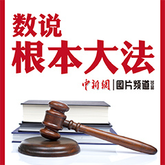 ��˵������