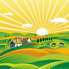 ���ݸ����㣺˫11ũ�������ļ�ǿ��