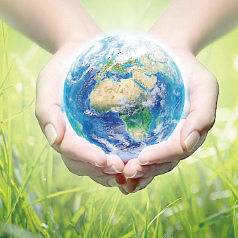 ���ȡ����ȡ��Ⱦ�����ڹ��ڲμ��籣�� 