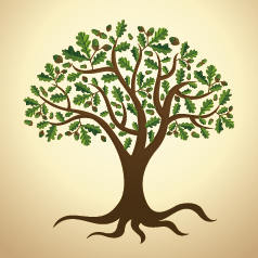 ����ĸ���ᡢ���ᡭ����Щ��̬�����ܽ�����