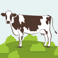 ţ���ж�����ЩӪ���ɷ֣�