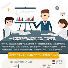 һͼ����2016�й������걨