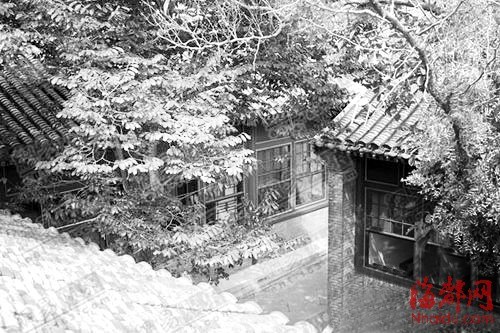 点图查看下一页